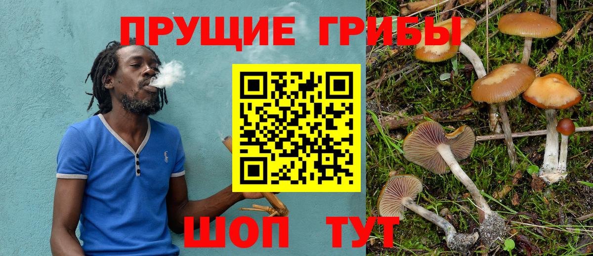 Галлюциногенные грибы GOLDEN TEACHER  Вход с VPN  Новодвинск 